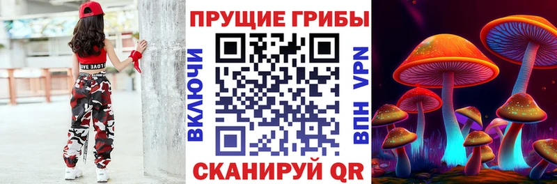 Купить где Борисоглебск Галлюциногенные грибы ЛСД