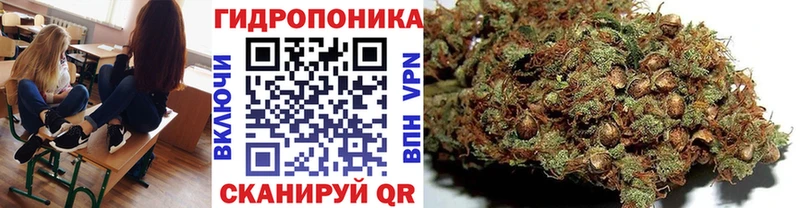 МАРИХУАНА планчик  Купить где  Борисоглебск 